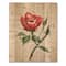 Designart - Vintage Red Rose Flower II - Traditional Print on Natural Pine Wood
